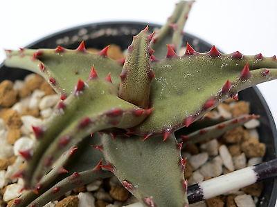 廠(chǎng)房裝修,深圳廠(chǎng)房裝修,深圳廠(chǎng)房裝修公司